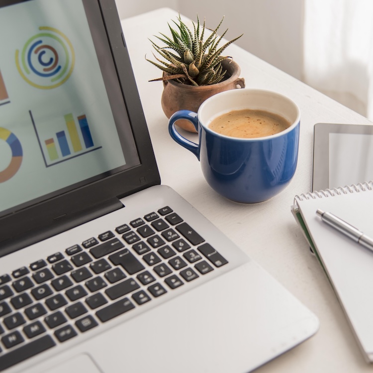 coaching profesional