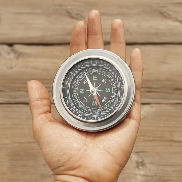 coaching de vida y propósito